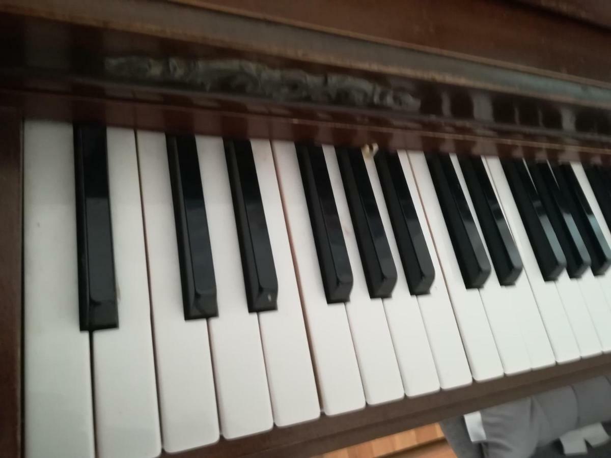 The Piano Apartment Zavalatica Esterno foto